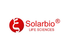 Solarbio